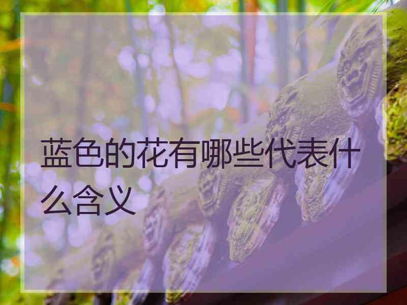 蓝色的花有哪些代表什么含义