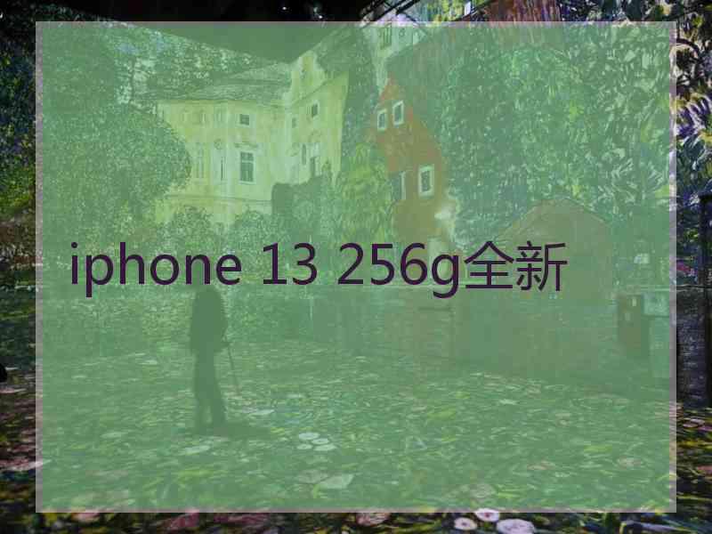 iphone 13 256g全新