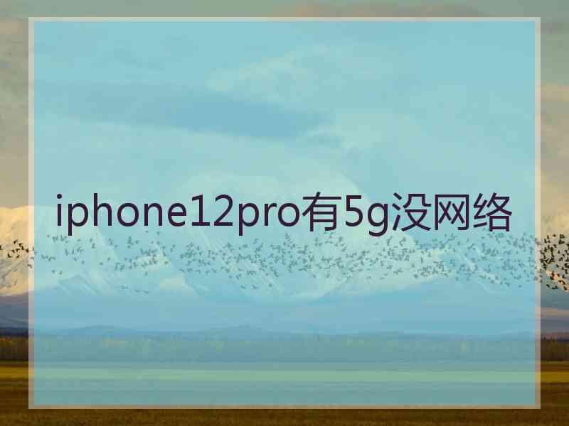 iphone12pro有5g没网络