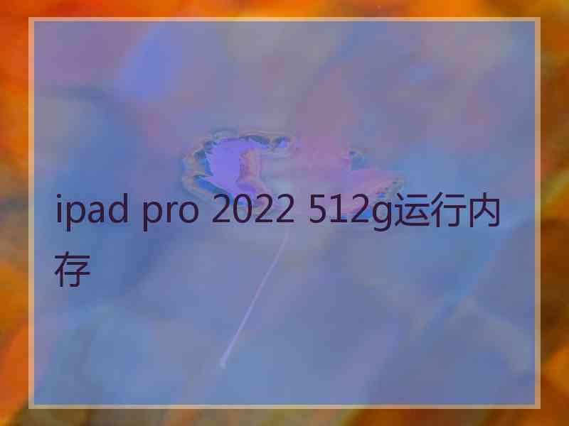 ipad pro 2022 512g运行内存