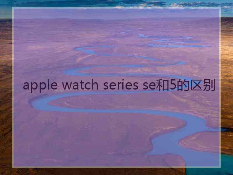 apple watch series se和5的区别