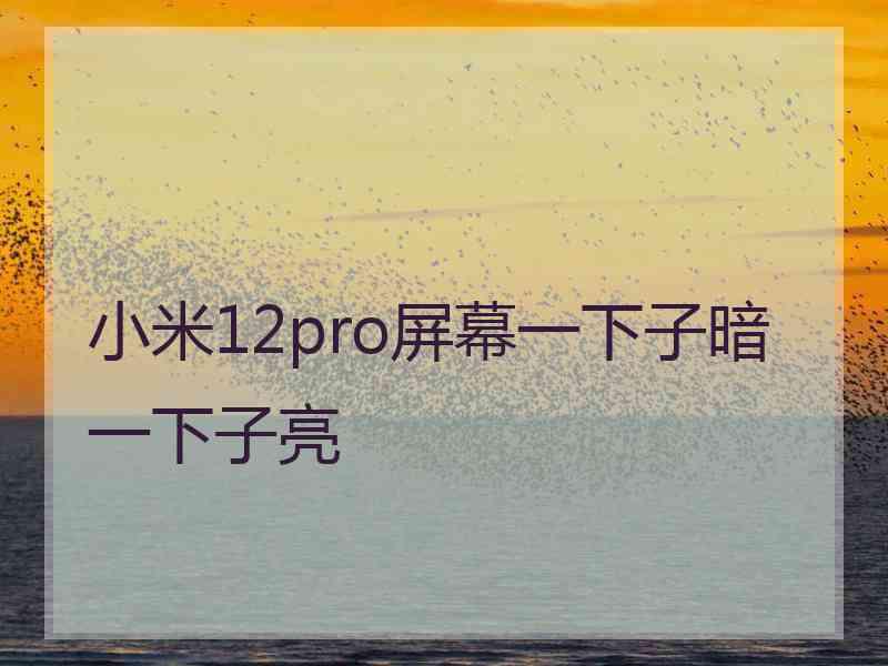 小米12pro屏幕一下子暗一下子亮