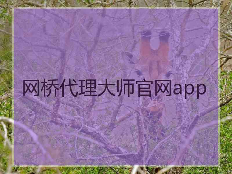 网桥代理大师官网app