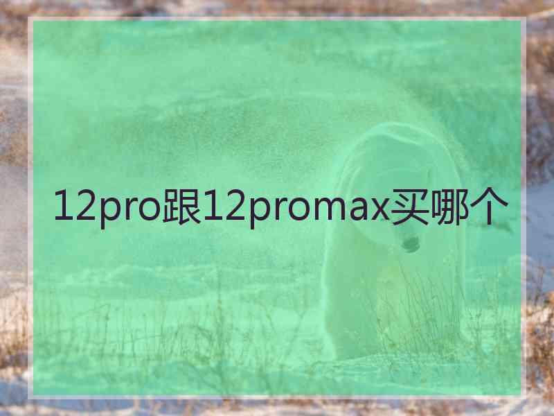 12pro跟12promax买哪个