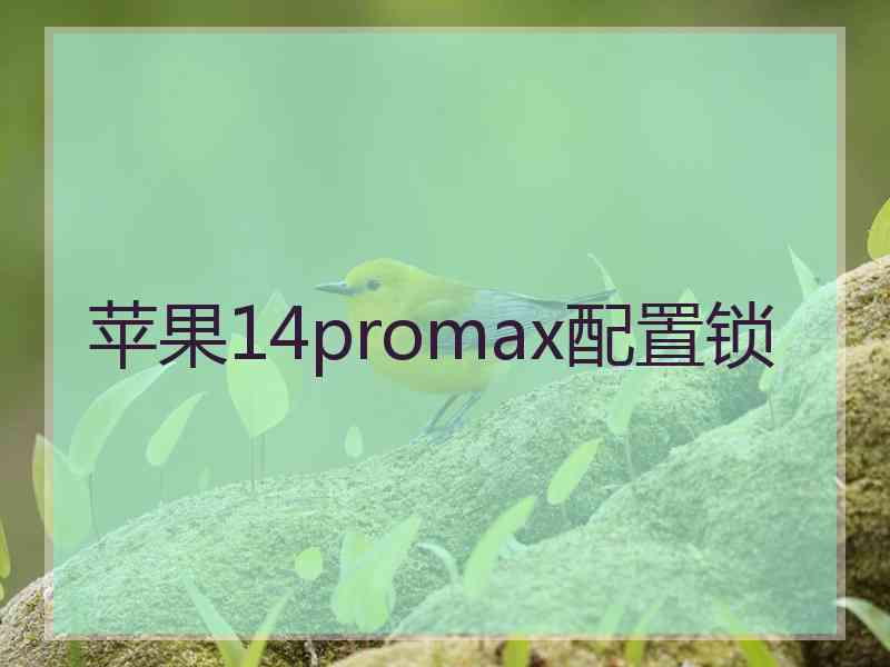 苹果14promax配置锁