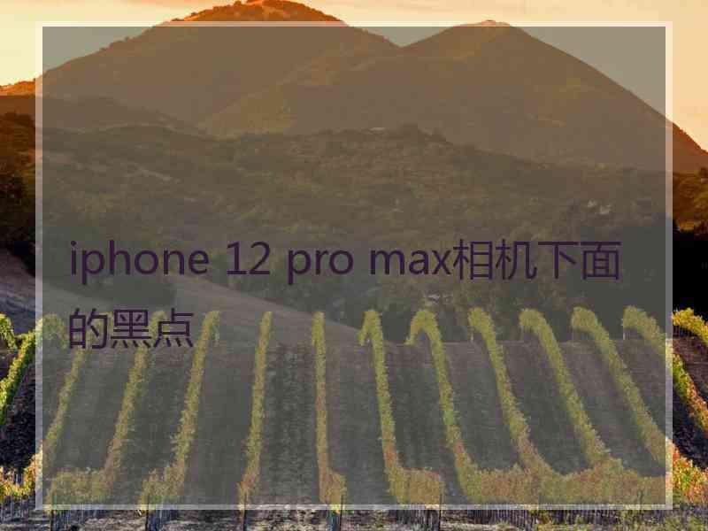 iphone 12 pro max相机下面的黑点