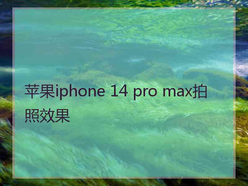 苹果iphone 14 pro max拍照效果