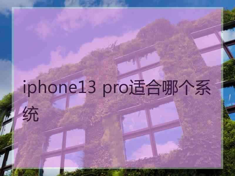 iphone13 pro适合哪个系统