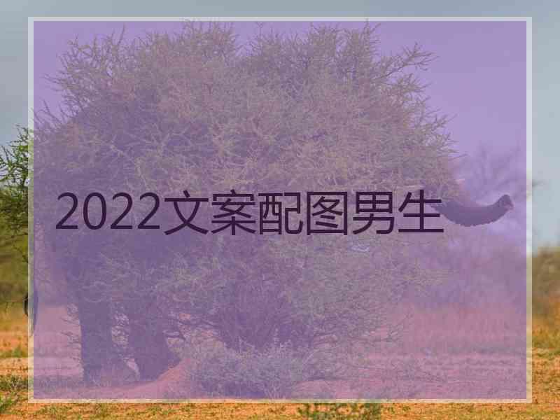 2022文案配图男生