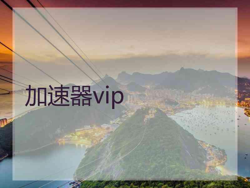 加速器vip