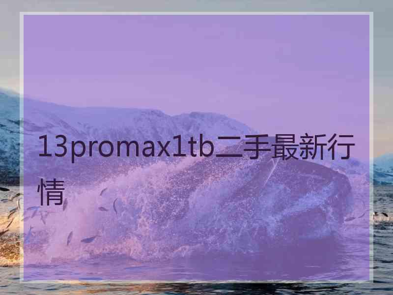 13promax1tb二手最新行情