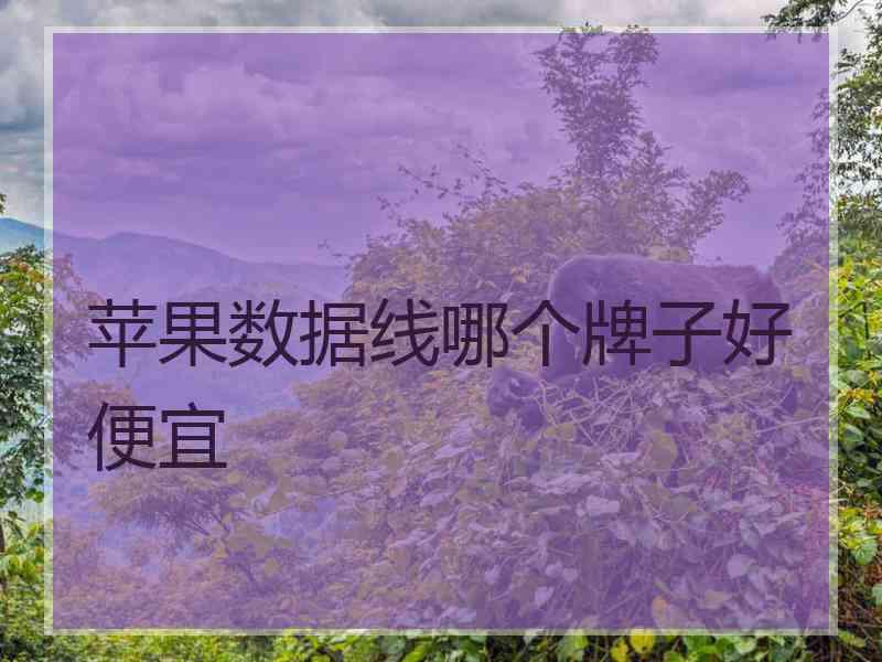 苹果数据线哪个牌子好便宜