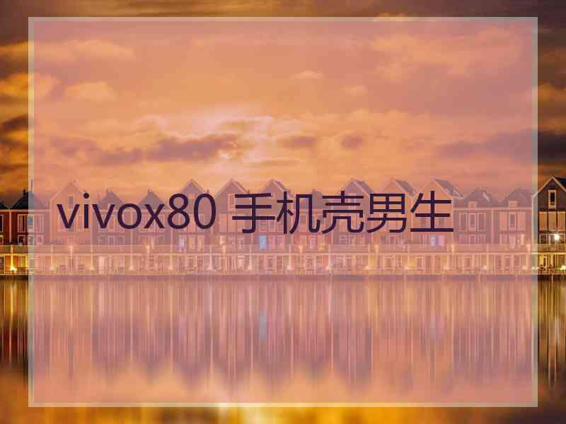 vivox80 手机壳男生