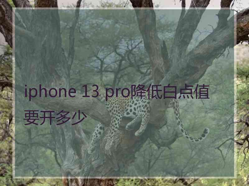 iphone 13 pro降低白点值要开多少