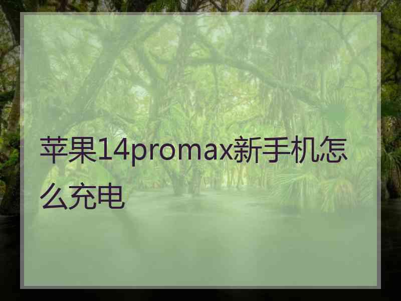 苹果14promax新手机怎么充电