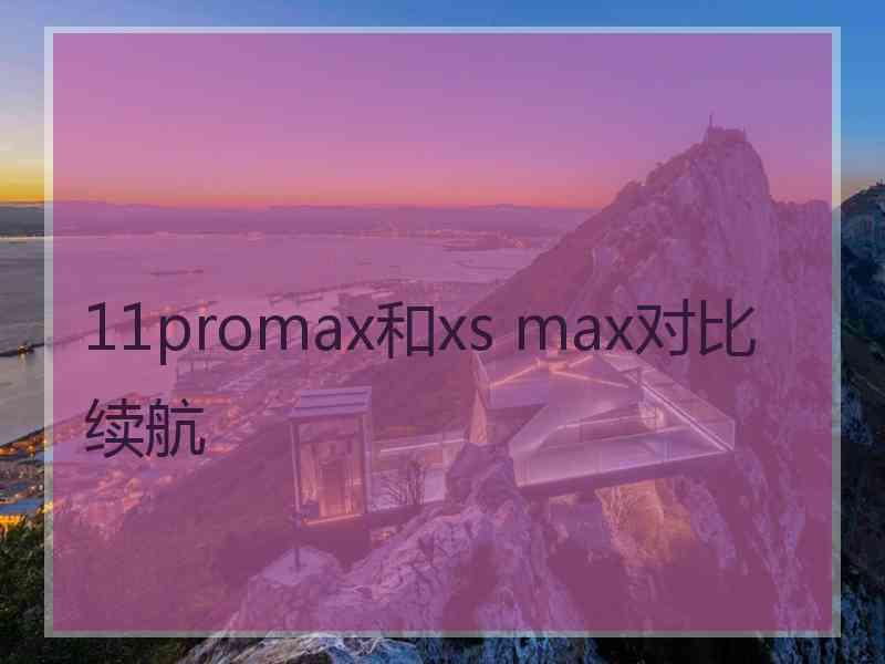 11promax和xs max对比续航