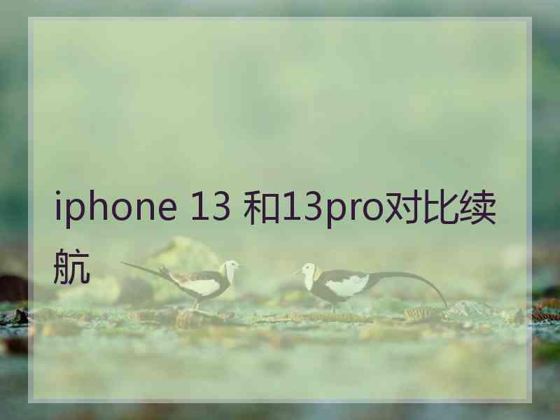 iphone 13 和13pro对比续航