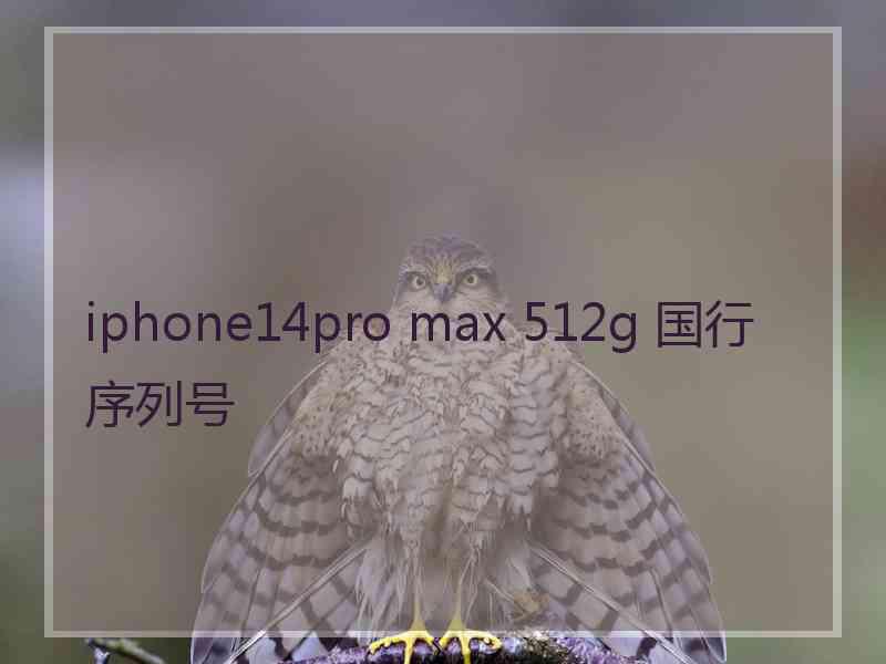 iphone14pro max 512g 国行序列号