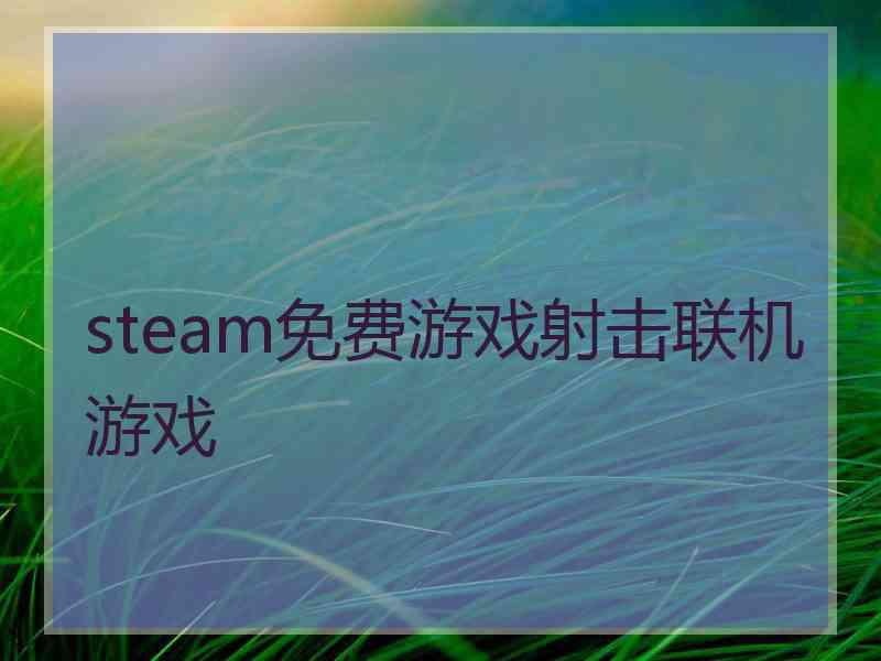 steam免费游戏射击联机游戏