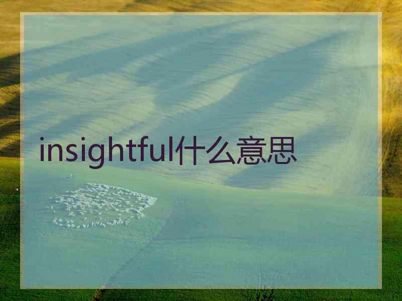 insightful什么意思