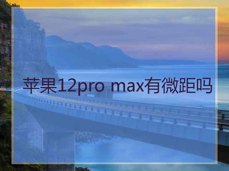 苹果12pro max有微距吗