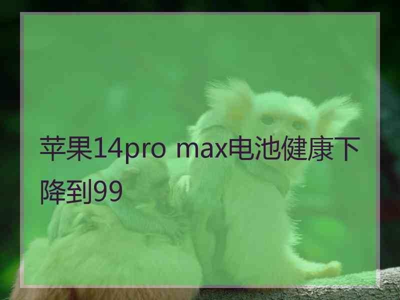 苹果14pro max电池健康下降到99