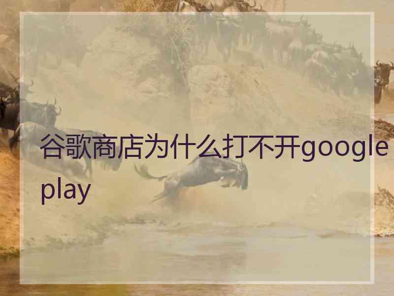 谷歌商店为什么打不开googleplay