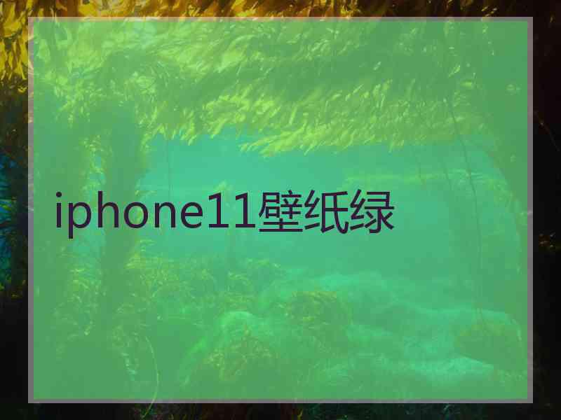 iphone11壁纸绿