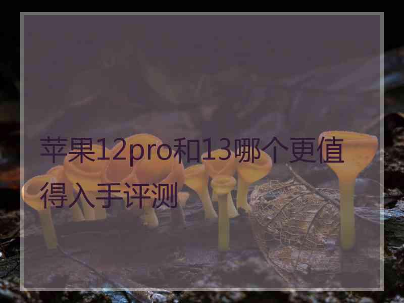 苹果12pro和13哪个更值得入手评测