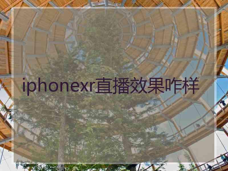 iphonexr直播效果咋样