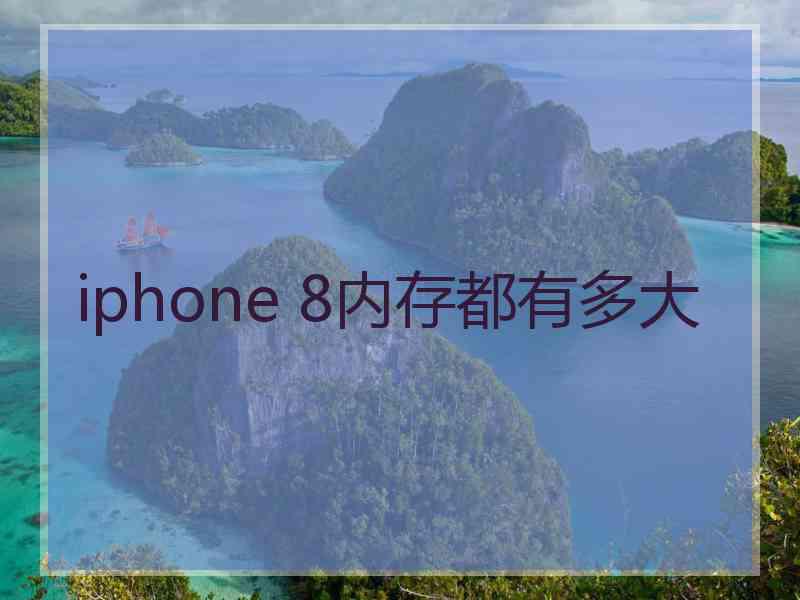 iphone 8内存都有多大