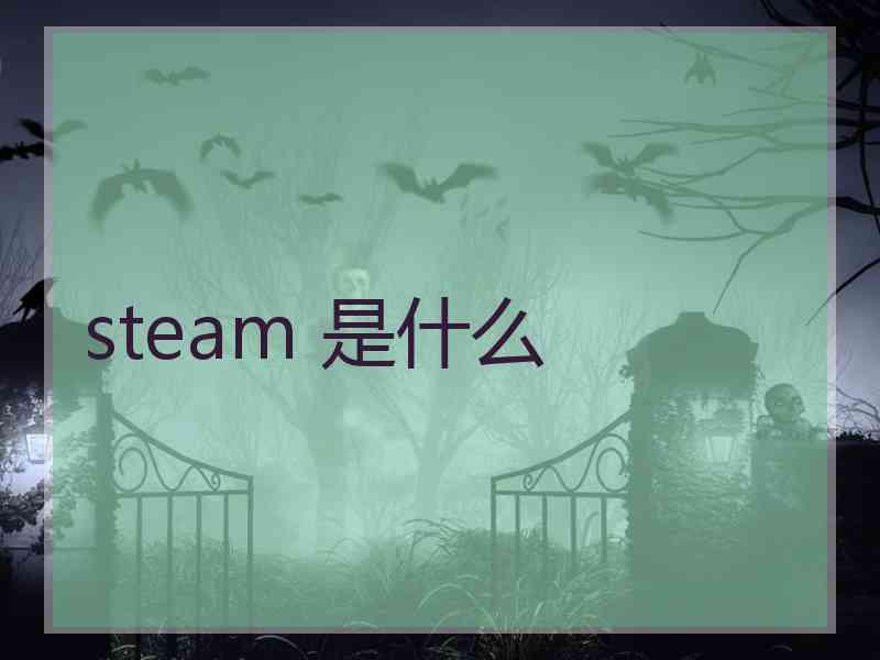 steam 是什么