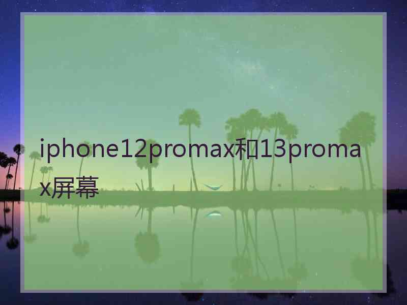 iphone12promax和13promax屏幕