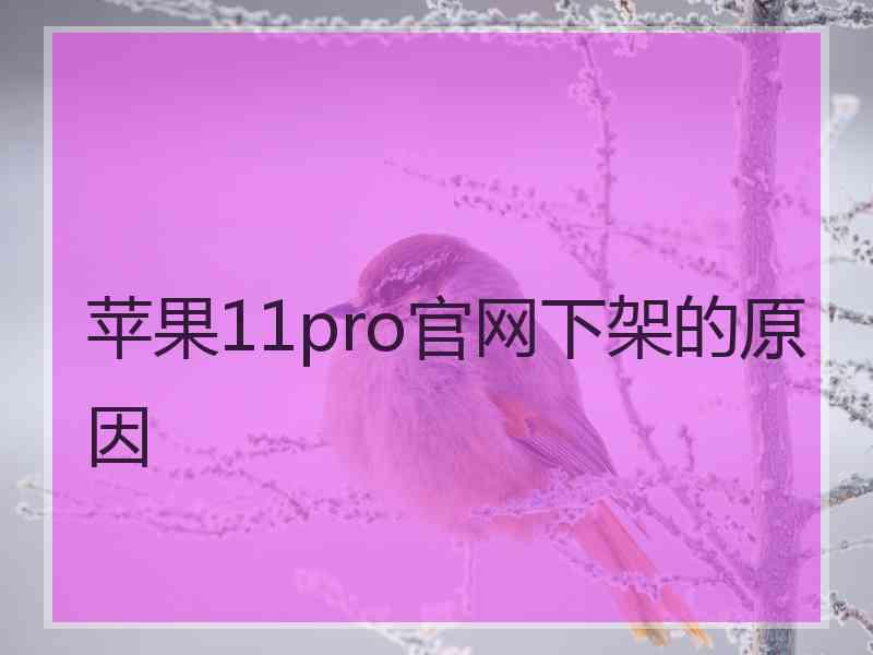 苹果11pro官网下架的原因