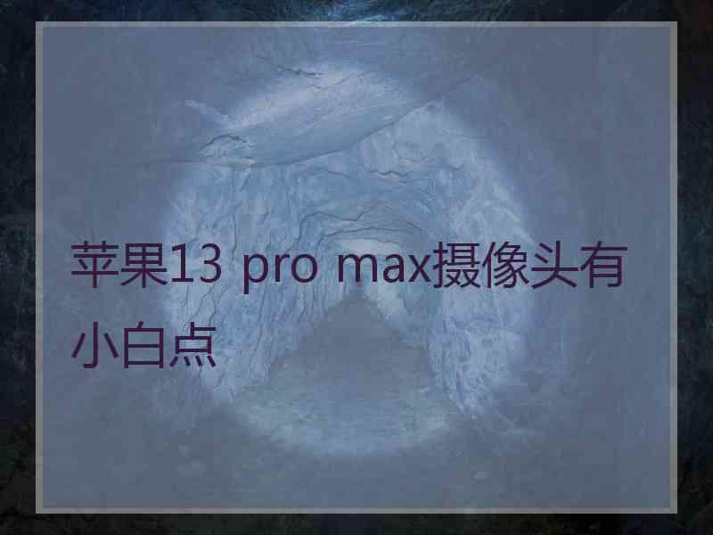 苹果13 pro max摄像头有小白点