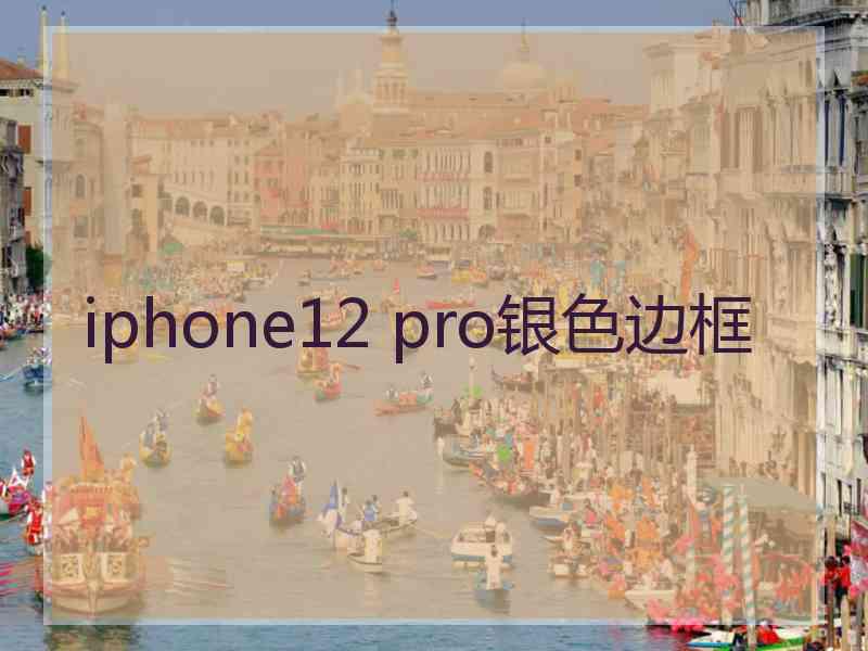 iphone12 pro银色边框