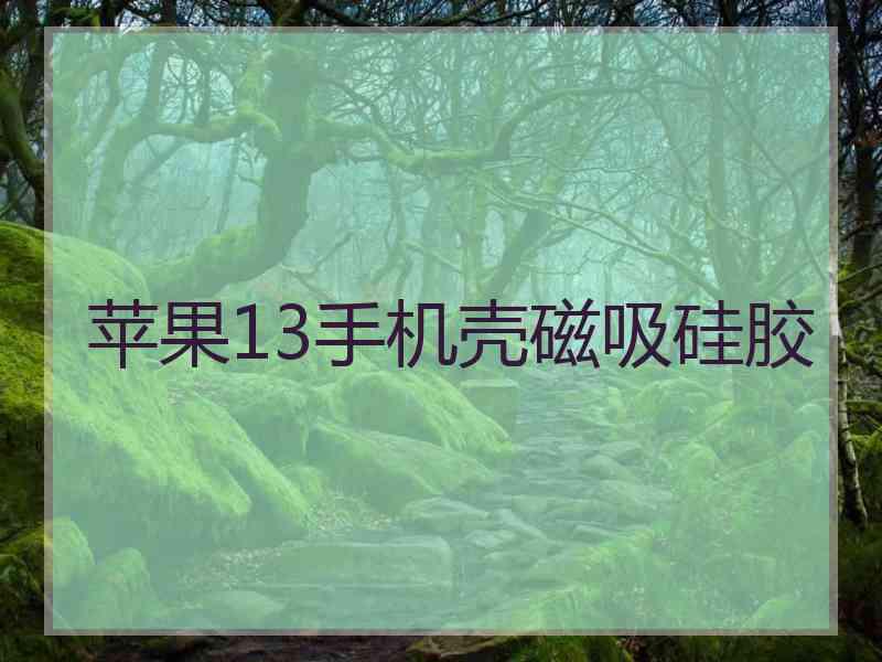 苹果13手机壳磁吸硅胶