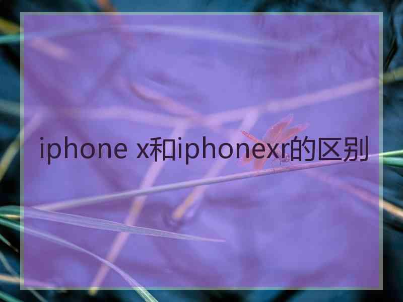 iphone x和iphonexr的区别