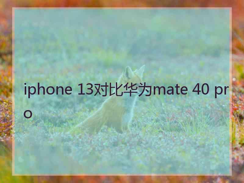 iphone 13对比华为mate 40 pro