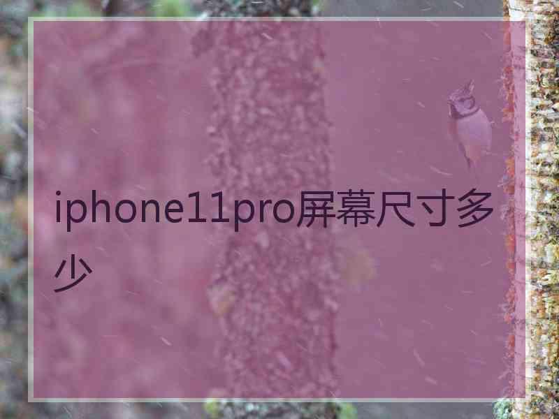 iphone11pro屏幕尺寸多少