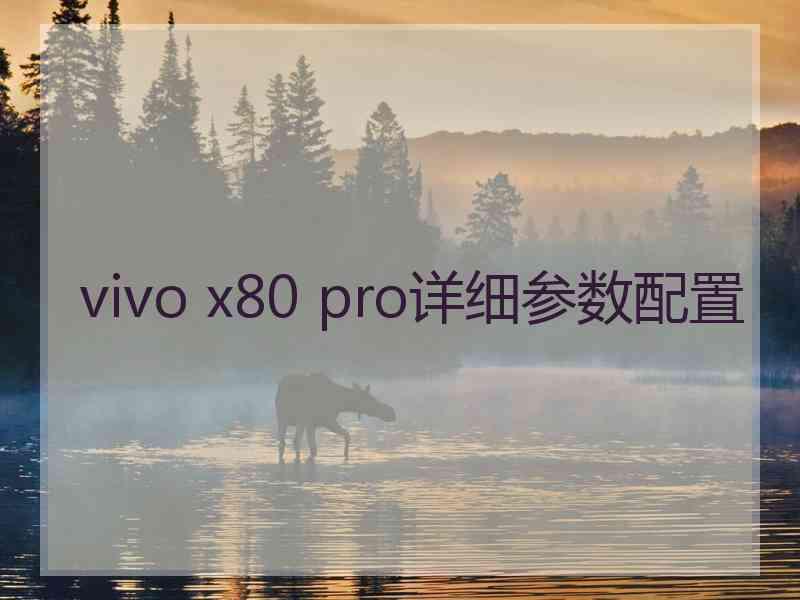 vivo x80 pro详细参数配置