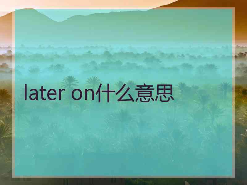 later on什么意思