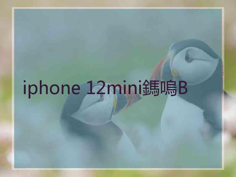 iphone 12mini鎷嗚В