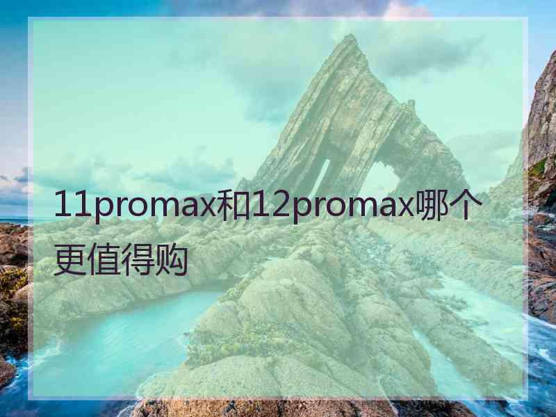 11promax和12promax哪个更值得购