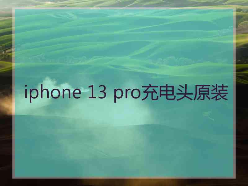 iphone 13 pro充电头原装