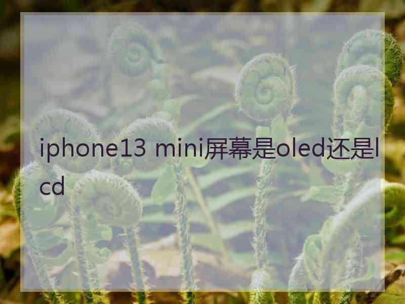 iphone13 mini屏幕是oled还是lcd