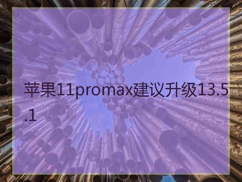 苹果11promax建议升级13.5.1