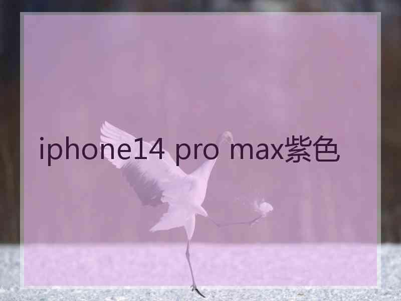 iphone14 pro max紫色