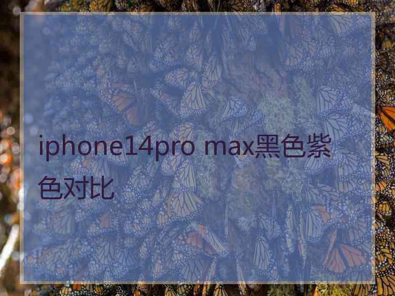 iphone14pro max黑色紫色对比