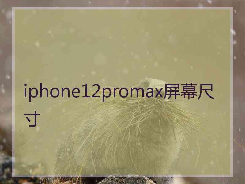 iphone12promax屏幕尺寸